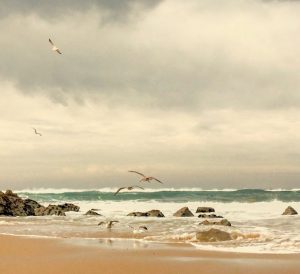 Billeje & lejebil i Amadora