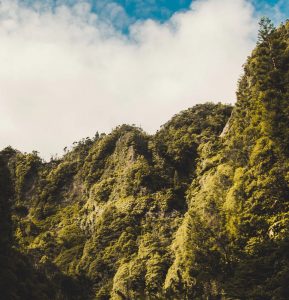 Billeje & biludlejning Porto Santo Lufthavn